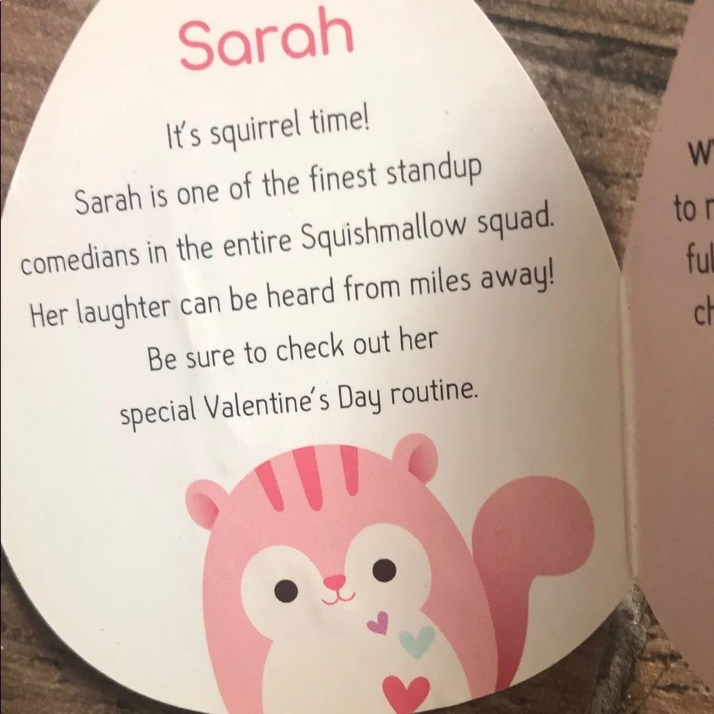Squishmallows Pink and Plush Toy
